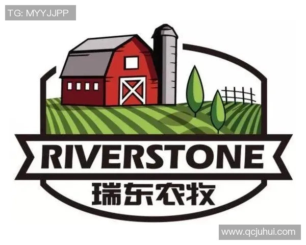 足球队徽球星装饰画主题设计创意展现运动激情与荣耀象征