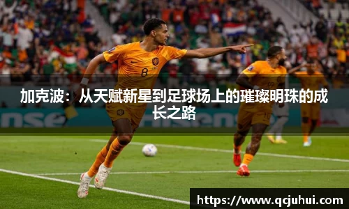 DG视讯