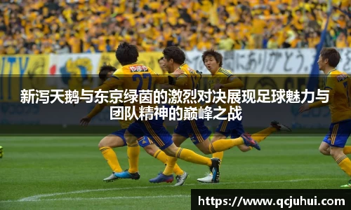 新泻天鹅与东京绿茵的激烈对决展现足球魅力与团队精神的巅峰之战
